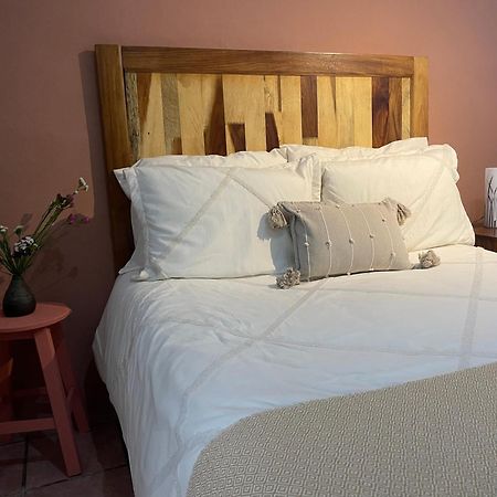 Cute Apart Excellently Located Apartman Oaxaca Kültér fotó