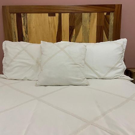 Cute Apart Excellently Located Apartman Oaxaca Kültér fotó
