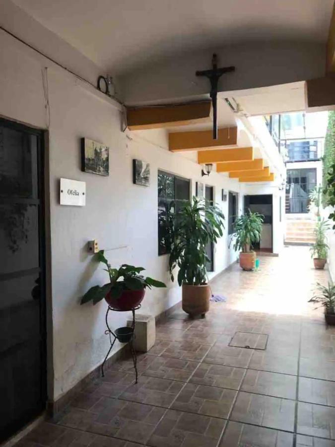 Cute Apart Excellently Located Apartman Oaxaca Kültér fotó