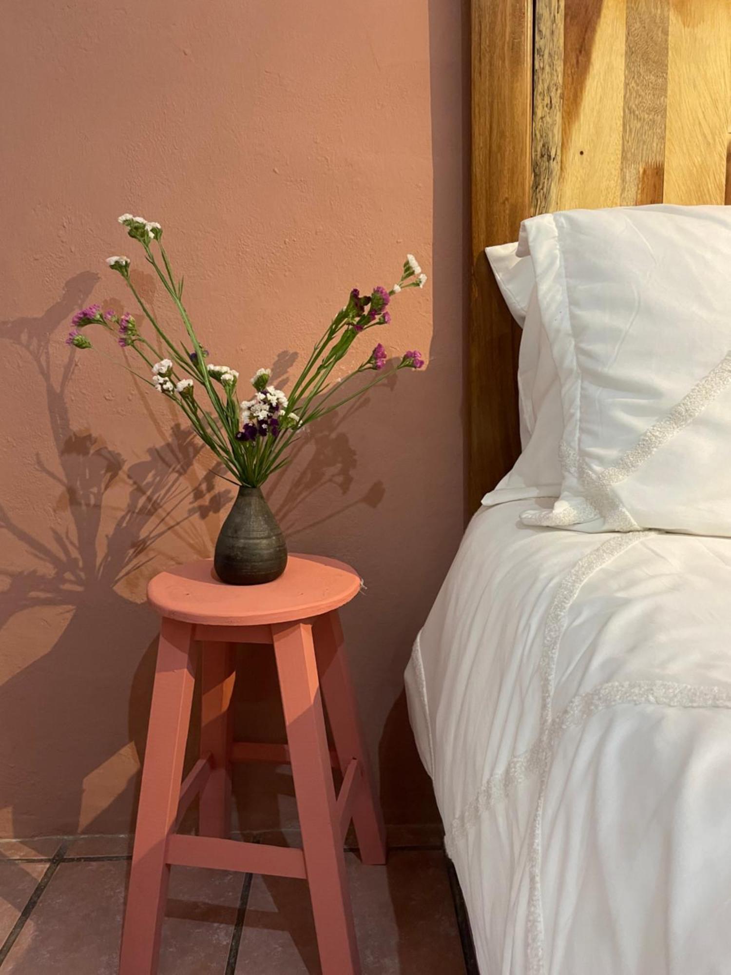 Cute Apart Excellently Located Apartman Oaxaca Kültér fotó